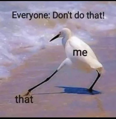 fzefefe fef efe fe f